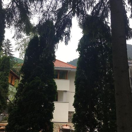 Manyi Villa 伯伊莱图什纳德 外观 照片