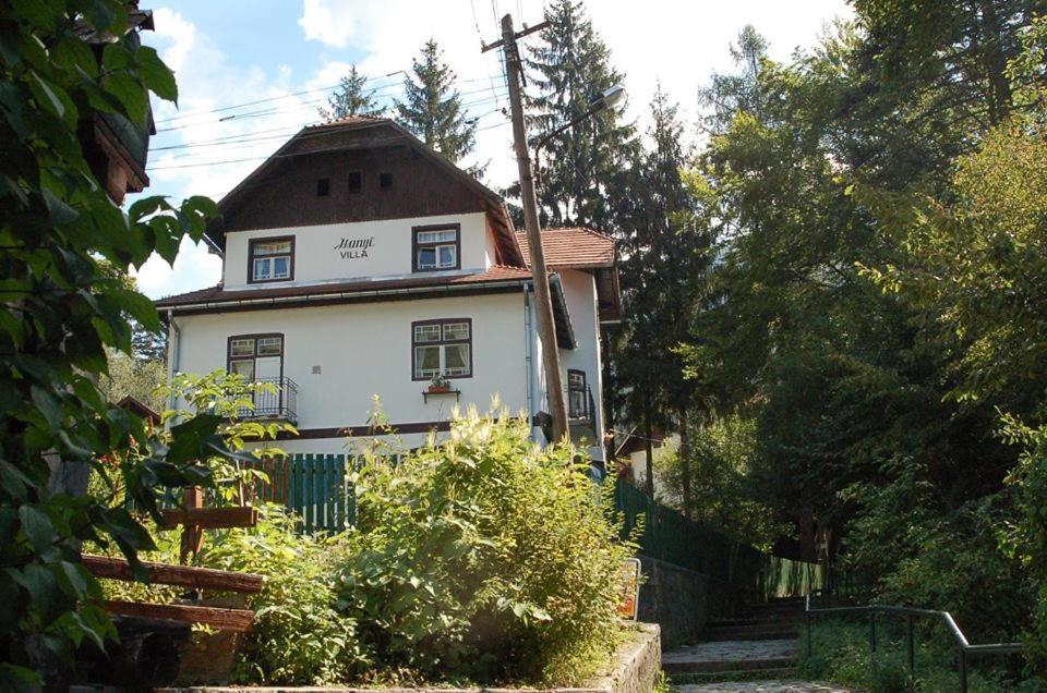 Manyi Villa 伯伊莱图什纳德 外观 照片