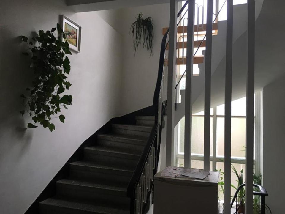 Manyi Villa 伯伊莱图什纳德 外观 照片