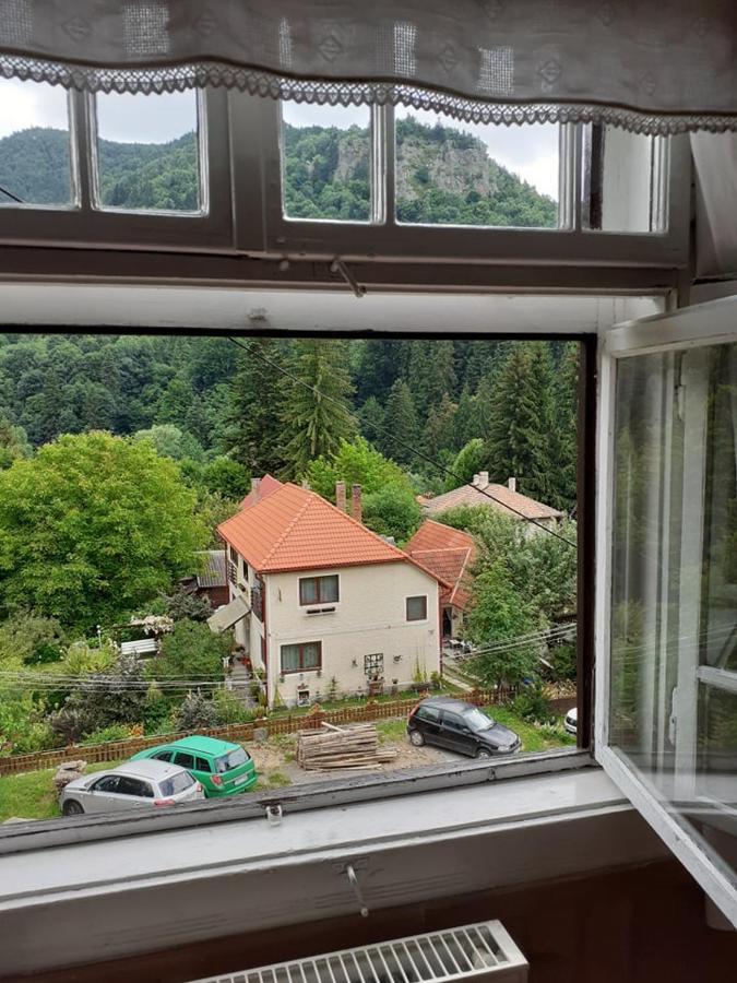 Manyi Villa 伯伊莱图什纳德 外观 照片